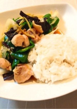 ☆タイ料理☆簡単鶏肉のしょうが炒め-レシピのメイン写真