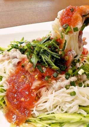 介護食【すりすりトマトの冷しゃぶそうめん-レシピのメイン写真