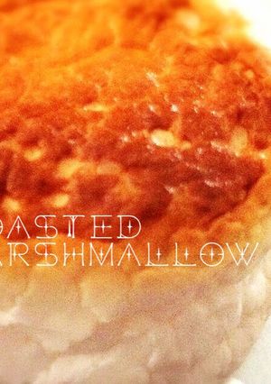 トースターで簡単とろとろ＊焼きマシュマロ-レシピのメイン写真