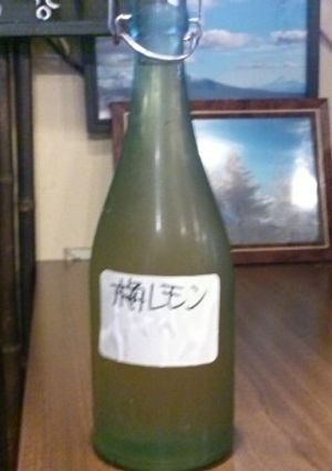 [いとう家の厨房]いまでしょ！梅レモン-レシピのメイン写真