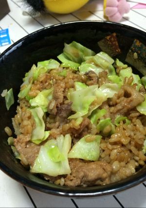 鳥肉とキャベツの味噌どんぶり-レシピのメイン写真