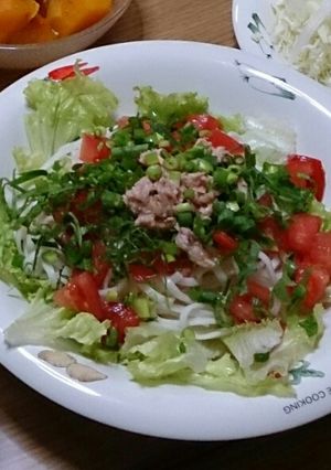 アッサリ(*^^*)冷たいうどん♪-レシピのメイン写真