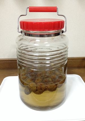 梅シロップ-レシピのメイン写真