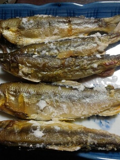 鮎の塩焼き-レシピのメイン写真