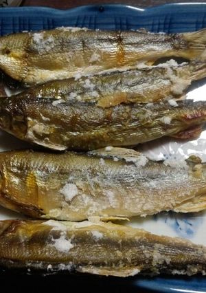 鮎の塩焼き-レシピのメイン写真