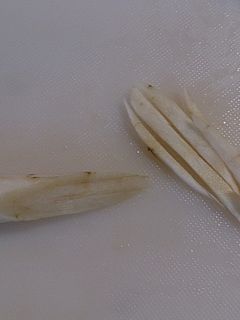 細いごぼうの千切り方法-レシピのメイン写真