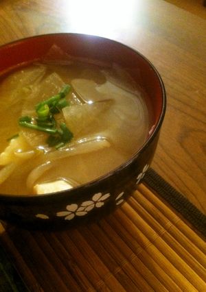 もやしと玉ねぎと大根と豆腐のお味噌汁-レシピのメイン写真