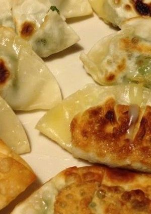 おつまみ餃子：しそチーズ-レシピのメイン写真