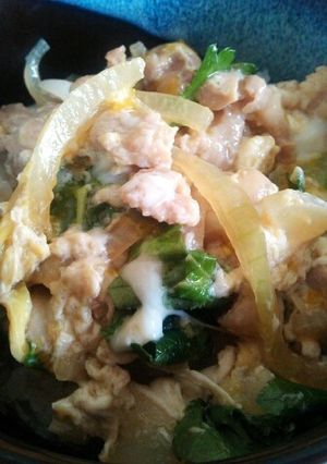 あっさり味の親子丼-レシピのメイン写真