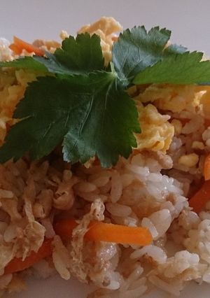 鶏そぼろdeちらし寿司-レシピのメイン写真