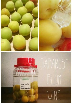 自家製みなべ梅酒-レシピのメイン写真