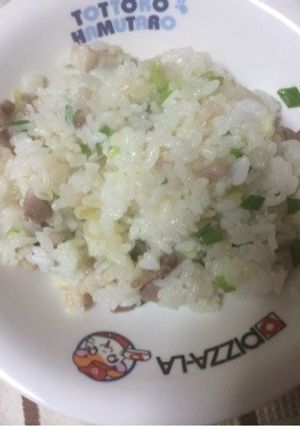 塩豚チャーハン-レシピのメイン写真