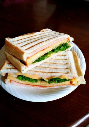 ビタントニオでパニーニ(*´∀`)♪-レシピのメイン写真