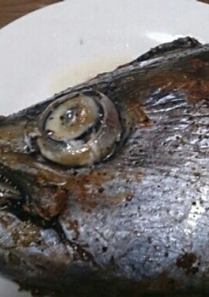 マグロの兜焼き-レシピのメイン写真