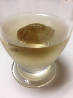 梅のサワードリンク-レシピのメイン写真