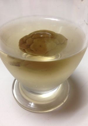 梅のサワードリンク-レシピのメイン写真