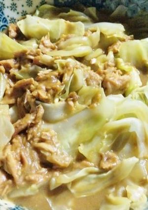 キャベツの豆乳カレー風味-レシピのメイン写真