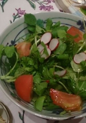我が家のクレソンサラダ-レシピのメイン写真