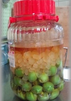 ブランディで漬ける梅酒-レシピのメイン写真