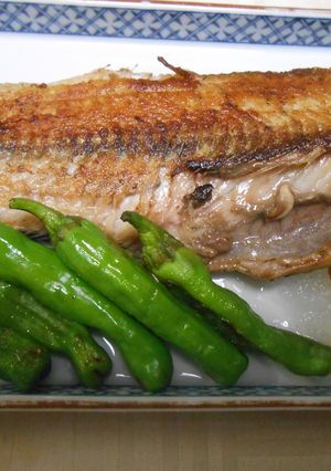 生ほっけ切り身の塩焼き・大根おろし添え-レシピのメイン写真