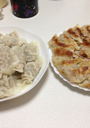適当でも美味しいギョーザ-レシピのメイン写真