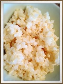 簡単!お鍋で玄米ご飯-レシピのメイン写真