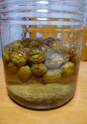 毎年恒例♪美味しい梅ジュースの作り方-レシピのメイン写真