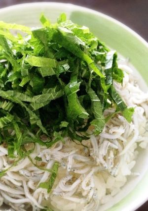 簡単美味♪ちゃちゃっとシラス丼-レシピのメイン写真
