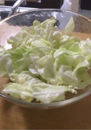 おつまみキャベツ☆-レシピのメイン写真