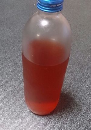 イチゴ酒 甘党のための果実酒-レシピのメイン写真