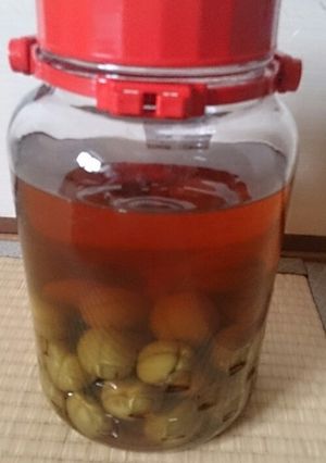 ほのかに香る黒糖梅酒 甘党のための果実酒-レシピのメイン写真