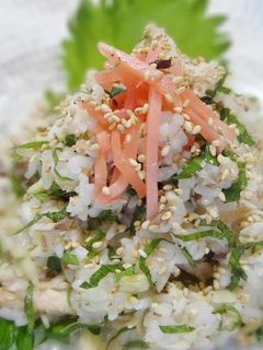 鯵の爽やか寿司-レシピのメイン写真