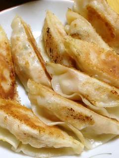 ささみのヘルシー餃子-レシピのメイン写真