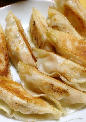 ささみのヘルシー餃子-レシピのメイン写真