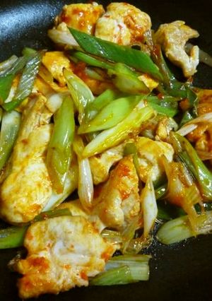 鶏肉とネギの豆板醤炒め-レシピのメイン写真