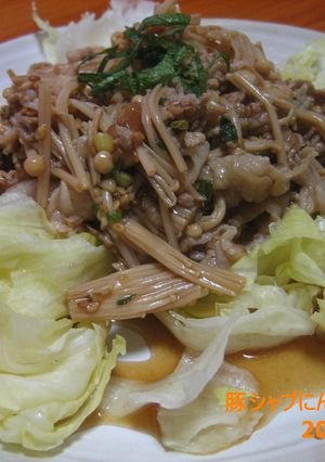 豚シャブのにんにくだれ♪-レシピのメイン写真