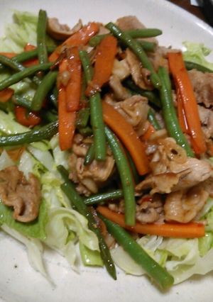 インゲン豆と豚のさっぱりスタミナ炒め-レシピのメイン写真