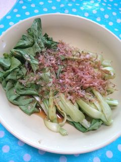 小松菜のお浸し-レシピのメイン写真