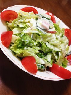 ヨーグルトサラダ-レシピのメイン写真