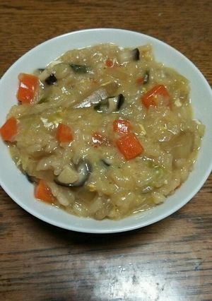 野菜いっぱい栄養満点のおじや-レシピのメイン写真
