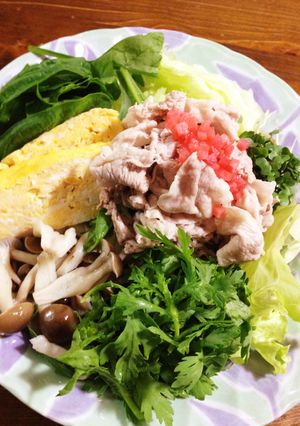 野菜もりもり☆冷しゃぶサラダ麺-レシピのメイン写真