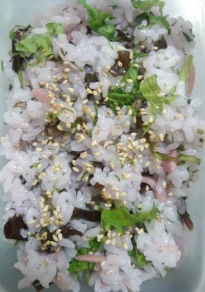 金時草ごはん-レシピのメイン写真