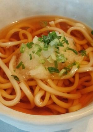 冷やかけおろしうどん♪-レシピのメイン写真