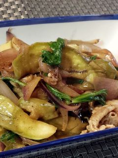 茄子と豚肉のスパイシー炒め-レシピのメイン写真
