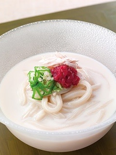 豆乳うどん-レシピのメイン写真