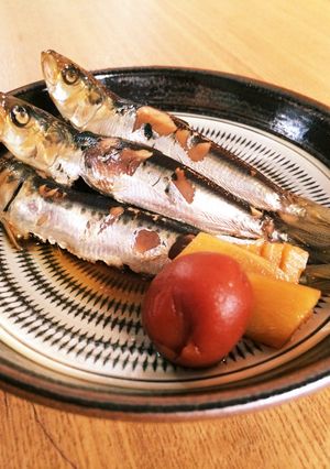 小イワシ梅煮-レシピのメイン写真