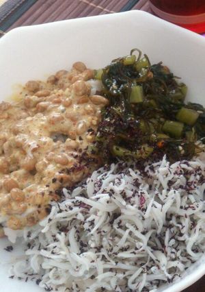 しらす丼-レシピのメイン写真