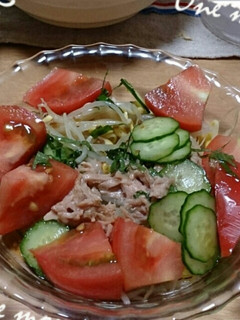 豆もやしとツナとキュウリのサラダ-レシピのメイン写真