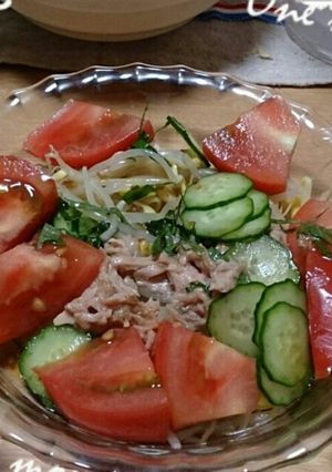 豆もやしとツナとキュウリのサラダ-レシピのメイン写真
