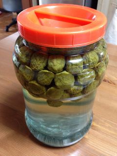 自家製梅シロップ-レシピのメイン写真